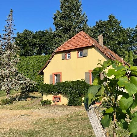 Rebhaus Durbach Villa Bagian luar foto