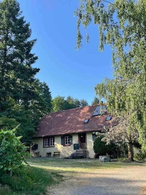Rebhaus Durbach Villa Bagian luar foto