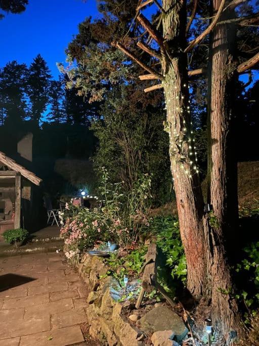 Rebhaus Durbach Villa Bagian luar foto